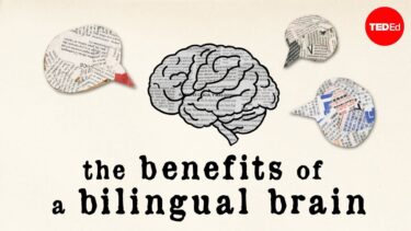 バイリンガルの脳にもたらされる効果<br> The benefits of a bilingual brain