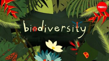 なんで生物多様性って大切なの？<br>Why is biodiversity so important?